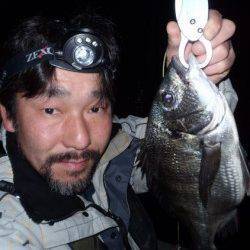 南港でチヌゲーム、25cmのタケノコメバルも！