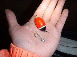 最近流行のＦシステムをしに舞洲へ行って参りました