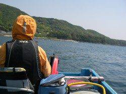 初めての江須でかかり釣り、多魚種釣れました♪