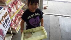 田辺湊浦漁港でお子様がキス7匹★