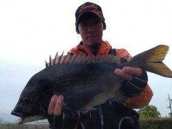 武庫川河口 早朝からのフカセ釣りでチヌ50cm☆