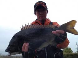 武庫川河口 早朝からのフカセ釣りでチヌ50…