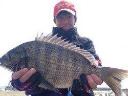 淀川河口でのフカセ釣り、42・45cmのチヌ2枚