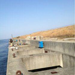 淀川河口 フカセでチヌ45cm 周りも好調の様子☆