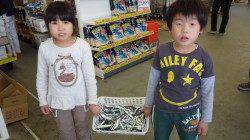 芳養堤防 サビキでサバ・マイワシ・片口イワシ大漁！