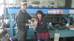 みなべ堺堤防、親子で初アオリゲット♪