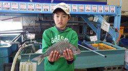 江川堤防 フカセでキビレ＆チヌ！