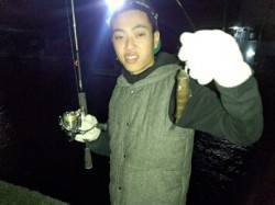 谷川漁港周辺でメバリング、息子さんとの釣果…