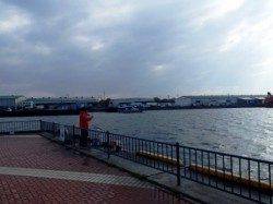 なんとか１本！泉大津RT　３日　朝