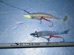 和歌山市内タチウオ調査!!