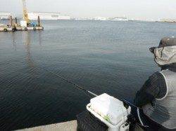 【やっぱチヌですね♪】夕方のむこがわＲＴ