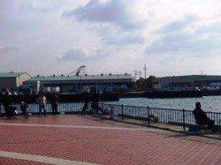 本日も風が…泉大津リアルタイム１１日　朝