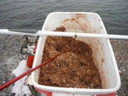 【チヌのっこんでます】丸島防波堤