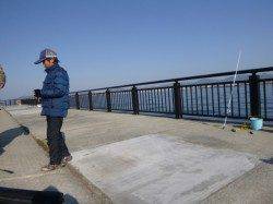 空港RT、ヨロイメバルなど