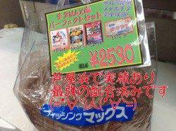 今の所ハネ１本確認です。南芦屋浜