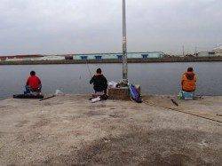 泉佐野食コン　夕方りあるたいむ♪