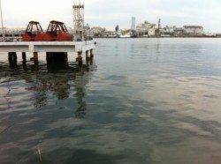 泉佐野食コン　夕方りあるたいむ♪