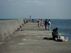 ファミリーフィッシングに吉報、岸和田にアジきたー!!