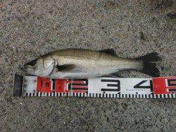 【雨上がりのハネ！】南芦屋浜