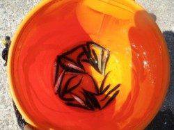 こんな晴れた日には;♪　泉大津RT　5日ひる