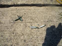 こんな晴れた日には;♪　泉大津RT　5日ひ…