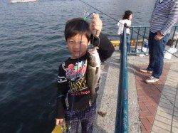 全域でハネ絶好調♪泉大津RT　５日　夕方