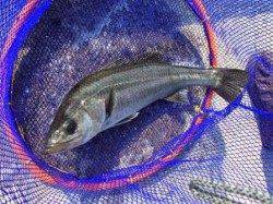 本日も風が…泉大津リアルタイム１１日　朝