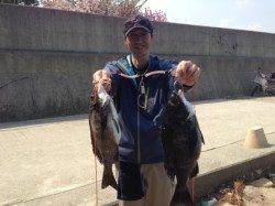 【満潮からの下げでチヌ釣れる】南芦屋浜