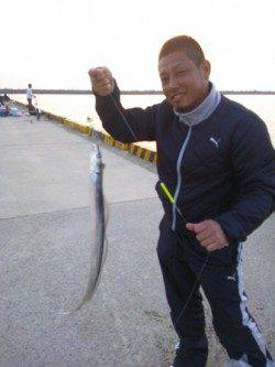 水軒タチウオ情報！！午後６～６時半頃にジアイあり♪