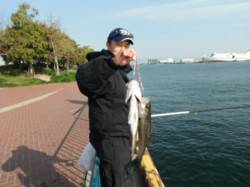 四季の釣りポイントは好調です♪泉大津RT