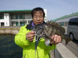 兵突ＲＴ、フカセでチヌ出ました。