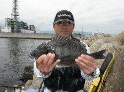 【良型チヌです♪】丸島防波堤RT