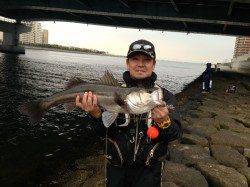 でた！スズキ７１ｃｍ！南芦屋浜エビ撒き釣果