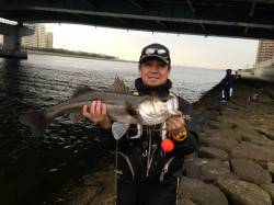 でた！スズキ７１ｃｍ！南芦屋浜エビ撒き釣果…