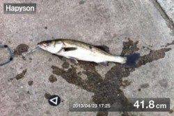 泉佐野食コン　夕方りあるたいむ♪