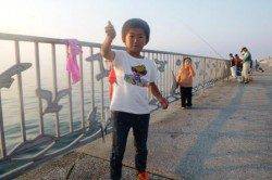 貝塚人工島☆イワシ魚群(激アツ)☆