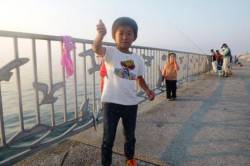 貝塚人工島☆イワシ魚群(激アツ)☆