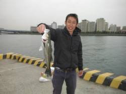 【雨上がりのハネ！】南芦屋浜