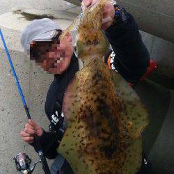 衣奈漁港 エギングで初のキロアップ！ 中層でヒット