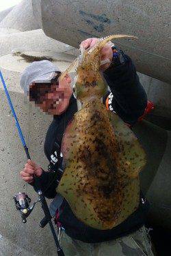 衣奈漁港 エギングで初のキロアップ！ 中層でヒット