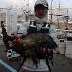 マリーナシティ海釣り公園 フカセ＆紀州釣りでチヌ