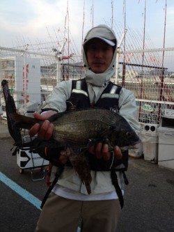 マリーナシティ海釣り公園 フカセ＆紀州釣りでチヌ