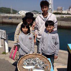 マリーナシティ海釣り公園 連休もイワシやガシラ、キビレ楽しめる