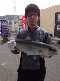 マリーナ海洋釣り堀、1号池でカンパチ・マダ…