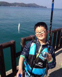 マリーナシティ海釣り公園、午前はイワシ爆釣中！！！