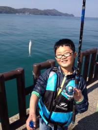 マリーナシティ海釣り公園、午前はイワシ爆釣中！！！