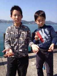 マリーナシティ海釣り公園、釣り少年も胴突き…