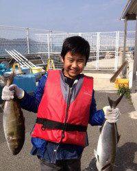 マリーナシティ海洋釣り堀 アマゴをエサにカンパチ2匹