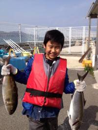 マリーナシティ海洋釣り堀 アマゴをエサにカ…