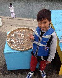 マリーナシティ海釣り公園 サビキのイワシ今日も好調